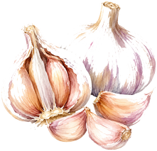 Ail — Blanc