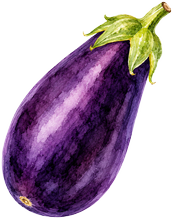 Aubergine — Blanche ronde