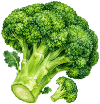 Brocoli