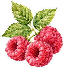 Framboise — Jaune