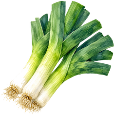 Poireau