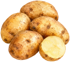 Pomme de terre — Belle de Fontenay
